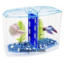 Both freshmen pledge the beta fraternity and begin a series of often disgusting initiation rituals, climaxing with stealing an object from the house of their rivals, the geek fraternity. Betta Fish Tank Betta House Double Easy Tank For Small Tropical Fish Plenn Plax Double Betta China Wholesale Supplier Tank Monitors Tank Tankless Water Heatertank Bag Aliexpress