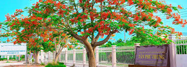 Trường THCS và THPT Tân Phú Trung