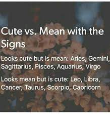 Actually Libra Is The Looks Cute But Is Mean Type Zodiac Zodiac Signs Horoscope Zodiac Sign Facts