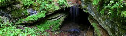 Towering hardwood forests & hilltop bluffs provide a dramatic playground for family explorers. Mammoth Cave National Park U S National Park Service