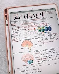 Practice Golden Rule Management In Everything You Do Manage Others The Way You Would Like To Be Www Modelcitizen School Study Tips Study Notes College Notes