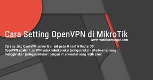 Cara Setting Openvpn Di Mikrotik Internet Linux Tips