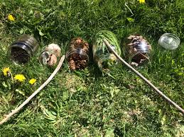 We used a how to make a garden xylophone for kids. Get Crafting Make Your Own Outdoor Xylophone Halifax Public Libraries