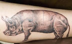 A pig tattoo is a great reminiscence of our childhood and the memories of the past. Pig Tattoo Hipster Foodie Chef Tattoo Meanings Askmen