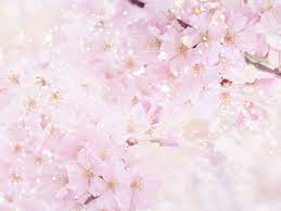 Maybe you would like to learn more about one of these? 66 Light Pink Flower Wallpaper On Wallpapersafari