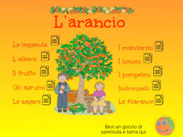 Immagini stock la magnolia grandiflora e un albero ornamentale. L 39 Arancia By Bragiuse On Genially