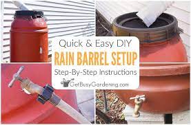 Depending upon how much it has rained, sometimes we need to fill up the rain barrel with the hose, but then the rainwater will continue to maintain it again. How To Set Up A Rain Barrel Step By Step Get Busy Gardening