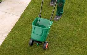Last friday i put down lesco's granular weed and feed. How To Apply A Lawn Feed Weed Moss Killer Rolawn