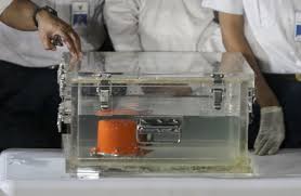 Mechanical keyboard atau keyboard mekanikal adalah keyboard yang diciptakan dengan kualitas tinggi dengan menggunakan teknologi spring activated dalam switch. Fakta Menarik Black Box Yang Mungkin Anda Belum Ketahui Okezone Nasional