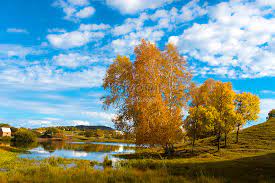 The group consists of keeho , theo , jiung. Beauty Of Lake Princess Lake In Inner Mongolia Photo Image Picture Free Download 500402097 Lovepik Com