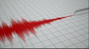 Acum, pentru că a fost un cutremur cu o intensitate relativ scăzută, de 5,8 pe richter, probabil nici reacţia animalelor nu a fost. Cum PoÈ›i Afla DacÄƒ Va Fi Cutremur Ce Tip De Alerte Sunt Disponibile In Romania B1tv Ro