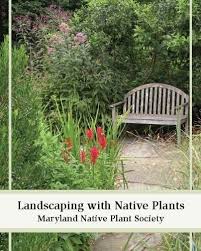 Dgreetings » fragrance flowers » wild flower » illinois wild flower. Native Plants For Shade University Of Maryland Extension