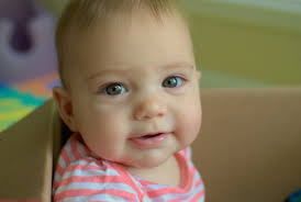 Is Circuit City Back In Business?