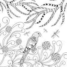 Just click on the picture and print! Tropical Parrot Bird Coloring Page Stock Photo Picture And Royalty Free Image Image 50094927