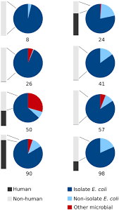 taxonomic classification of metagenomic sequences bars show