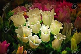 We did not find results for: Colorful Variety Of Flowers Sold In The Market Drawing Filter Stock Photo Picture And Royalty Free Image Image 69106405