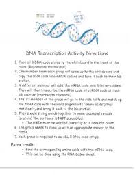 Deletion (a base is lost) insertion (an extra base is inserted) deletion and insertion may cause what's called a frameshift, meaning the reading frame changes. Protein Synthesis Simulator Worksheets Teaching Resources Tpt