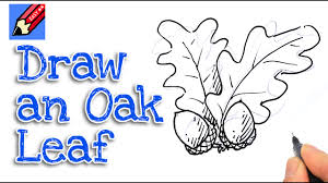 How to draw an oak tree. Learn How To Draw Acorns And Oak Leaves Real Easy Step By Step With Easy Spoken Instructions Youtube