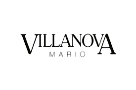 Risultato immagini per VILLANOVA mobili logo"