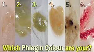 118 What Does The Color Of My Phlegm Means Yellow Brown Green More Revealed The Cause Of Phlegm Youtube Mucus Color Chart Yellow Mucus Mucus Color
