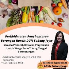Adun for n.31 subang jaya. Maklumat Bantuan Ngo Mp Adun Sepanjang Pkp Mco Carigold Forum