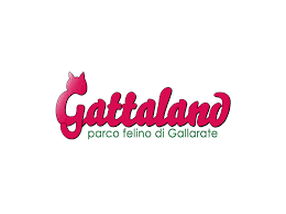 Banca popolare di bergamo offre poi ai suoi clienti numerosi servizi per essere costantemente in contatto con la propria filiale, come qui ubi, un servizio internet, che permette di avere sempre a disposizione tutte le informazioni riguardanti il proprio conto o i prodotti di cui si sta usufruendo. Volontariato Gatti Lombardia Provincia Di Varese Gattaland Gallarate Gattili E Associazioni Il Portale Dei Gatti Tigri Domestiche