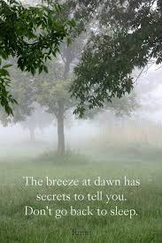 When someone is counting out gold for you, don't look at. 150 Rumi Quotes To Help You Enjoy Life Rumi Quotes Rumi Nature