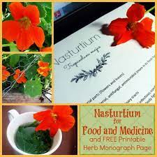 Pin By Margaret Woodman On Herbal Healthy Stuff Medicinal Herbs Garden Herbs For Health Herbalism