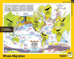 National geographic 1000 piece jigsaw puzzles. York Puzzle Company National Geographic Whale Migration 1000 Piece Jigsaw Puzzle Toys Games Puzzles Innovatordiaries Com