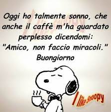 Pin Di Arancia Arcobaleno Su Social Buon Di Citazioni Divertenti Citazioni Ironiche Citazioni Snoopy