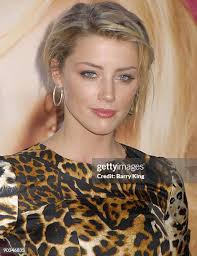 1,666 Amber King Stock Photos, High-Res Pictures, and Images