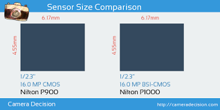 Nikon P900 Vs Nikon P1000 Detailed Comparison