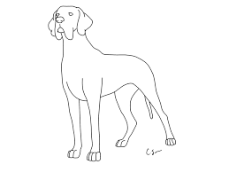 Great dane scooby coloring page. Great Dane Dog Coloring Pages Coloring Home
