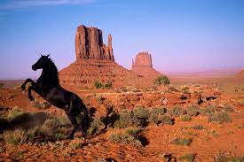 Monument Valley Mustang Horse Horses Horse Wallpaper