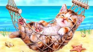 Desktophintergrund vkatze mond want to discover art related to desktophintergrund? Hd Wallpaper Wasser Deutschland Insel Katze Mammal Animal Pets Domestic Animals Wallpaper Flare