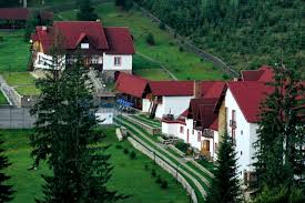 Oferta cazare vila floare de colt, cazare baile herculane, cazare caras severin, cazare valea cernei, pensiuni caras severin, pensiuni valea cernei. Floare De Colt Valahia Din Pascoaia Romania0 Oferte Disponibile