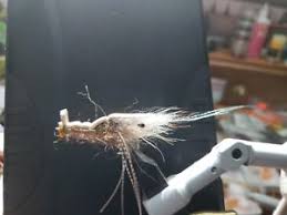 Details About Saltwater Flies Floating Rattle Shrimp Gamakatsu Size 2tarpon Redfish Snook