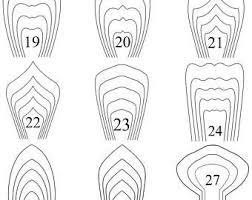 Make your own giant paper flowers easily with my instructions and video tutorials. 18 Pdf Paper Flower Template Giant Paper Flower Template Diy Paper Flower Template Paper Flower Patterns Giant Paper Flowers Template Paper Flower Template