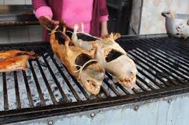 Guinea pigs are popular pets in the u.s., but in parts of south america, they're a delicacy. Eating Cuy Guinea Pig Crooked Compass