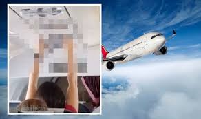 Get the best deals on women's underwear. Flights Plane Passengers Shocked By Airborne Underwear Did She Just Take Those Off Travel News Travel Express Co Uk