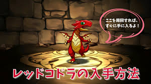 パズドラ】レッドコドラの効率的な入手方法 | Shikafo Blog