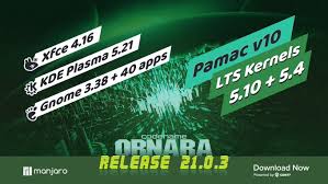 I need the pos and the neg thanks guys. Manjaro News