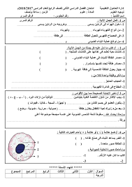 <h2> نماذج الوزارة الاسترشادية للصف السادس الابتدائي 2021 الترم الثاني موعد امتحان الصف السادس الابتدائي 2021 الترم الثاني لشهر مارس </h2>. Ù†Ù…ÙˆØ°Ø¬ Ø§Ù…ØªØ­Ø§Ù† Ø¬Ø§Ù‡Ø² ÙÙ‰ Ø§Ù„Ø¹Ù„ÙˆÙ… Ù„Ù„ØµÙ Ø§Ù„Ø±Ø§Ø¨Ø¹ Ø§Ù„Ø§Ø¨ØªØ¯Ø§Ø¦Ù‰ Ø§Ù„ØªØ±Ù… Ø§Ù„Ø«Ø§Ù†Ù‰ Ø§Ù„Ø¹Ù„ÙˆÙ… Ø±Ø§Ø¨Ø¹Ø© Ø§Ø¨ØªØ¯Ø§Ø¦Ù‰ ØªØ±Ù… Ø«Ø§Ù†Ù‰ Ø§Ù„Ù…Ù†Ù‡Ø¬ Ø§Ù„Ù…ØµØ±ÙŠ