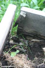 Moisture helps heat penetrate the ground easier. Solarize A Raised Vegetable Bed Gardenfork Eclectic Diy