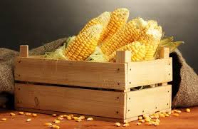 We did not find results for: Kenali 7 Manfaat Jagung Untuk Ibu Hamil Alodokter