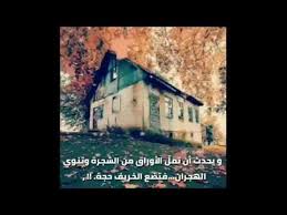 حالات واتس اب هادئة 2019 مع موسيقى تركية حزينة و خواطر و عبارات راقية youtube youtube music world