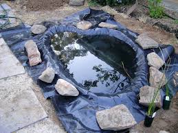 Yuk Bikin Kolam Ikan Mungil Nan Cantik Dari Semen Putih