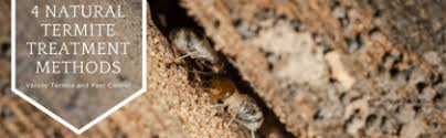 We are the largest independent pest and termite company in tennessee and kentucky! 4 Natural Termite Treatment Methods Varsity Termite And Pest Control