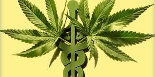 Are you looking for a complete map of all the dispensaries in canada? Florida S Marijuana Vertical Integration Model Cartel Model Before The Florida Supreme Court Lubell Rosen Llc