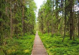 Maybe you would like to learn more about one of these? Top 15 Cele Mai Frumoase Locuri De Vizitat In Bucovina Ce Nu Trebuie Ratate